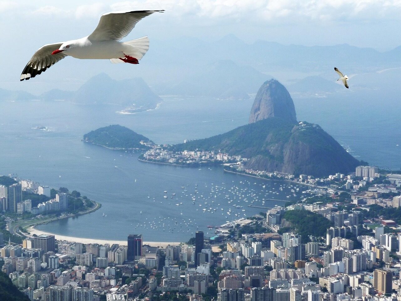 Aerial view of Rio de Janeiro with Sugarloaf Mountain and Guanabara Bay, a classic 2 weeks in Brazil itinerary start
