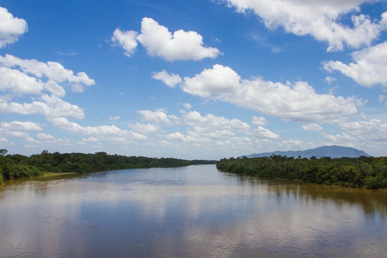 Travelers who visit the Amazon rainforest in Brazil see the Rio Negro winding through forest