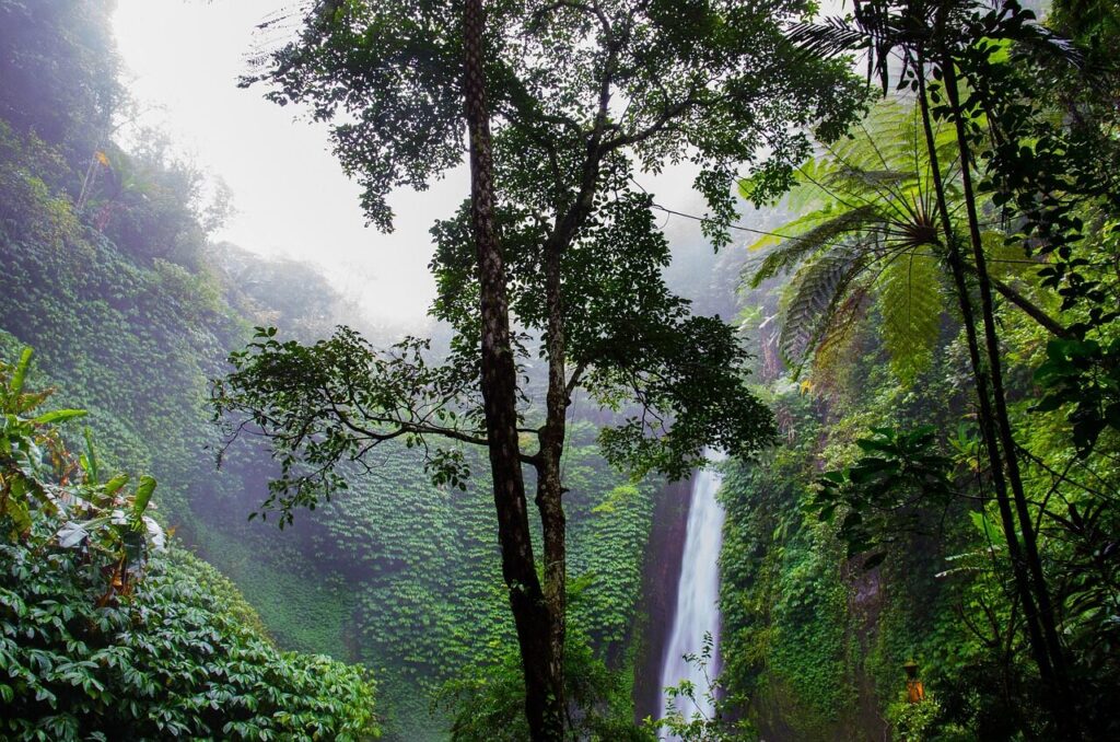 Waterfall dropping into a jungle pool near Presidente Figueiredo, Amazonas